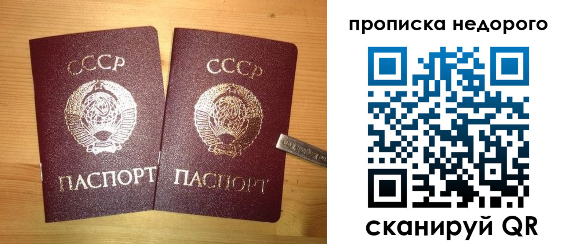 временная регистрация гарантия в Невинномысске